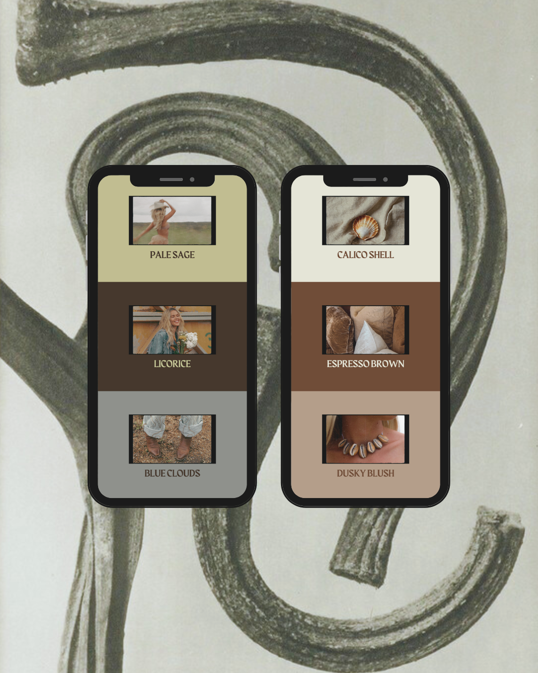 Colour Palette Mood Board Stories