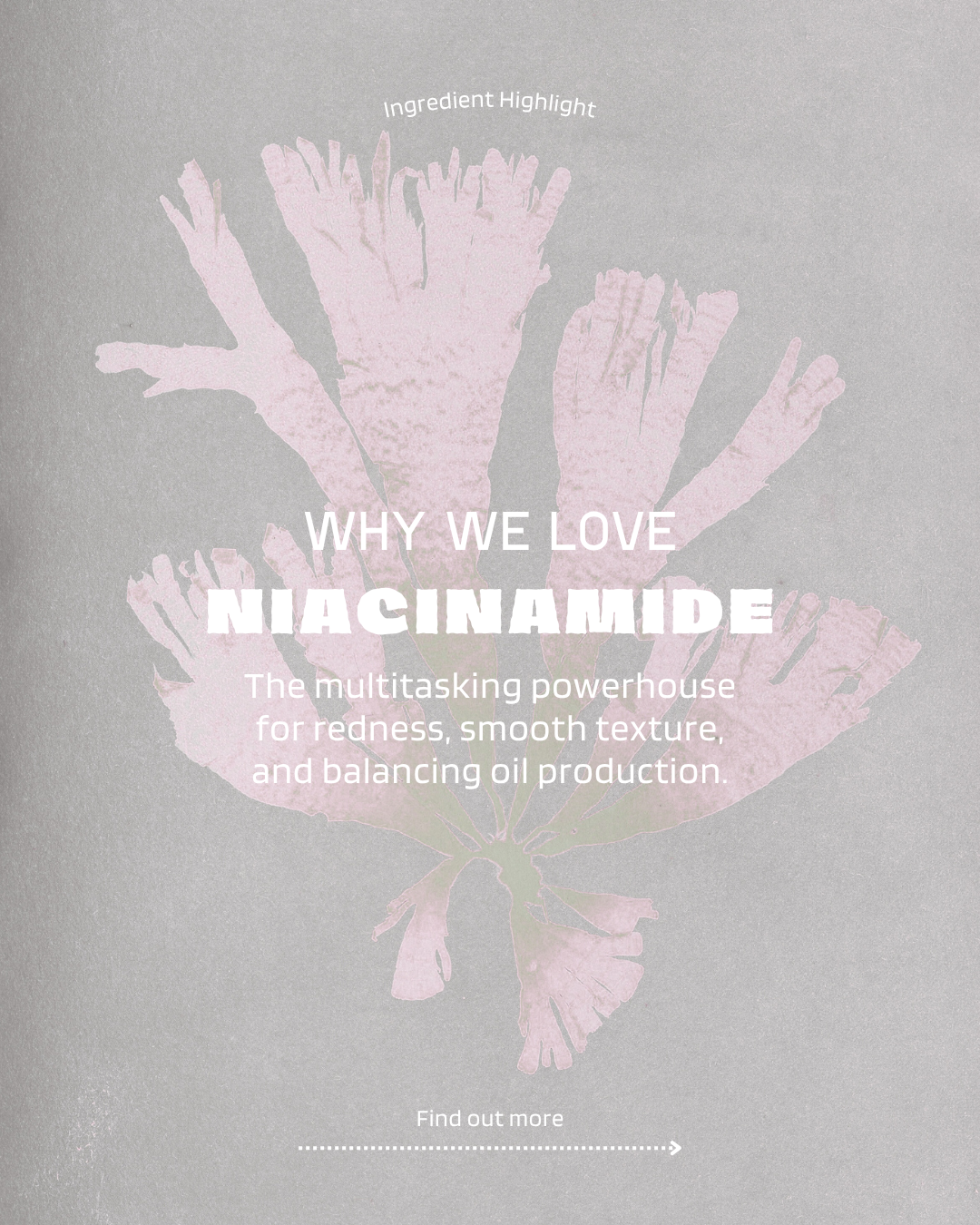 Botanical IG Carousel Covers