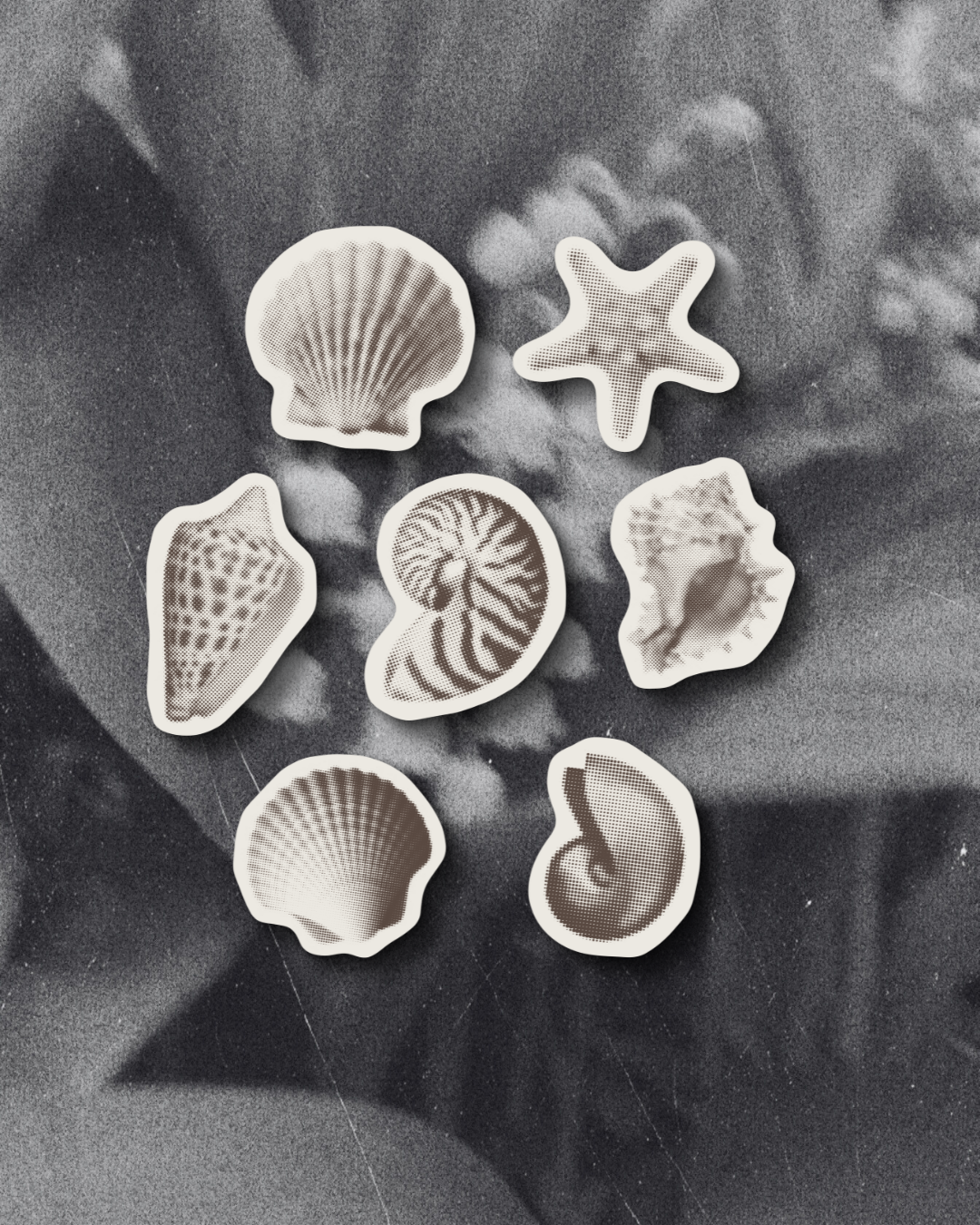 Sea Shell Stickers