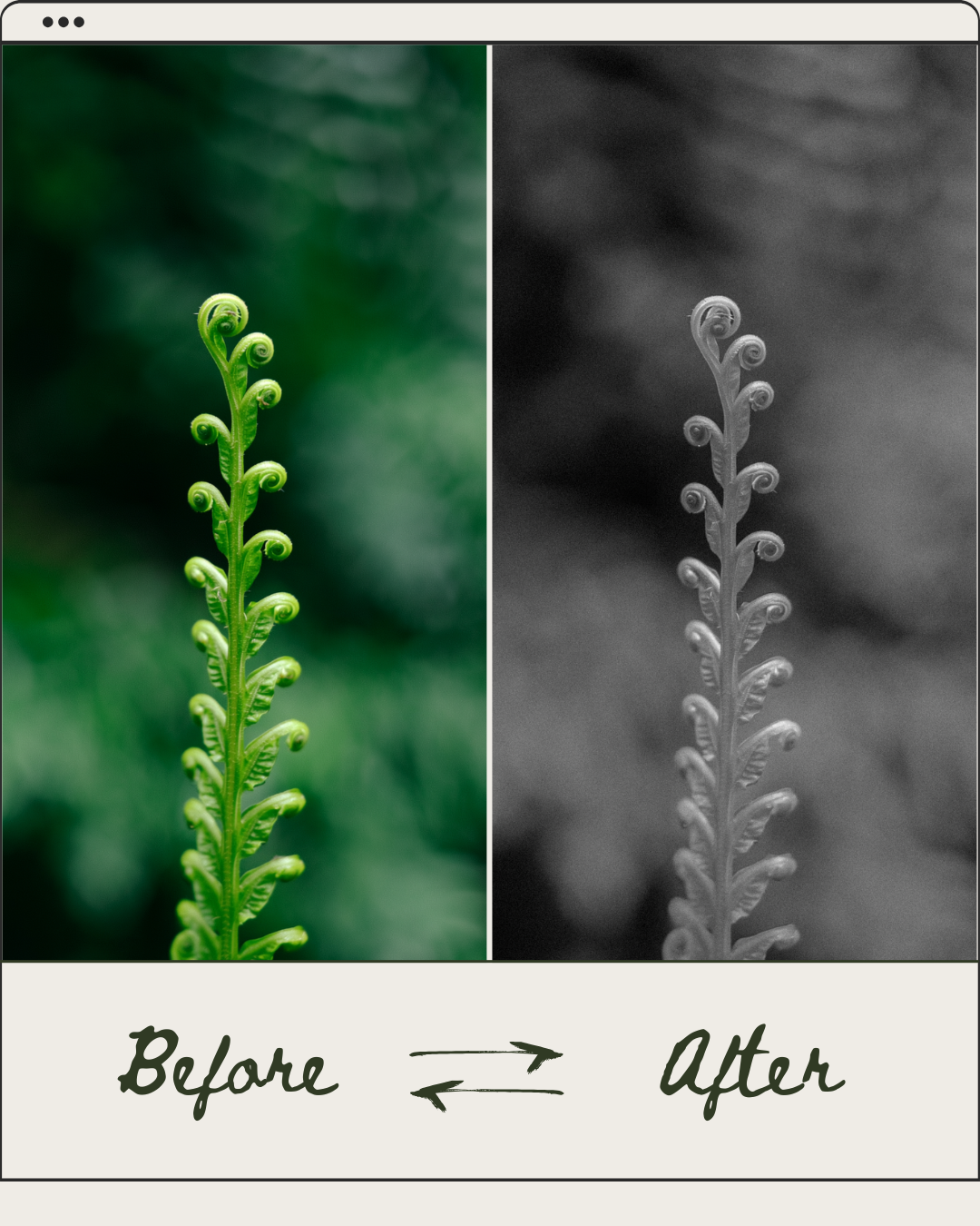 Lightroom Presets (x 12)