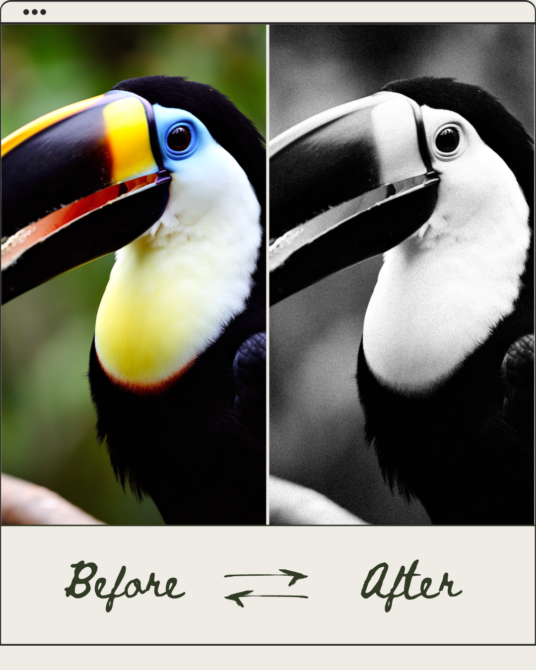 Lightroom Presets (x 12)