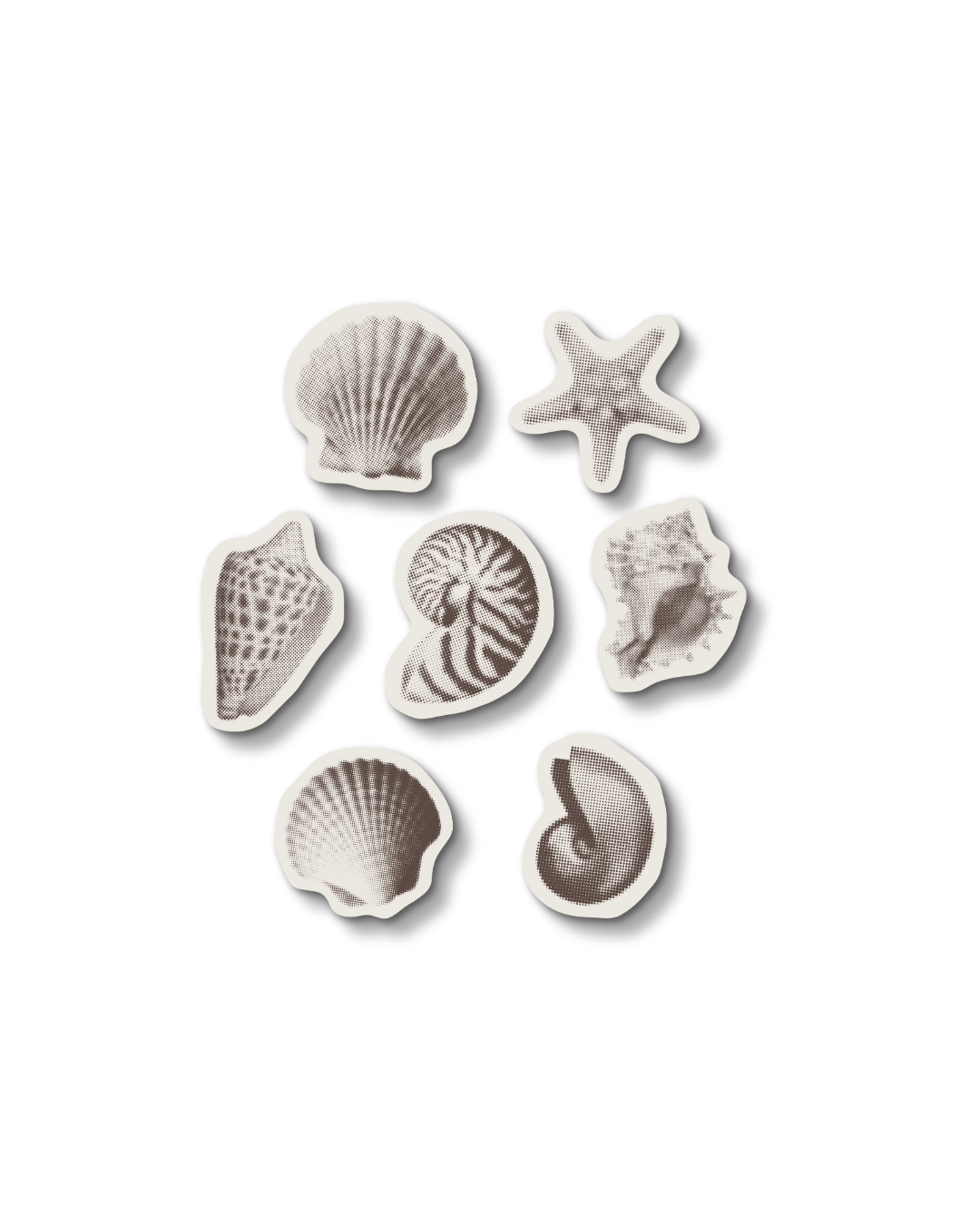 Seashell Sticker Set