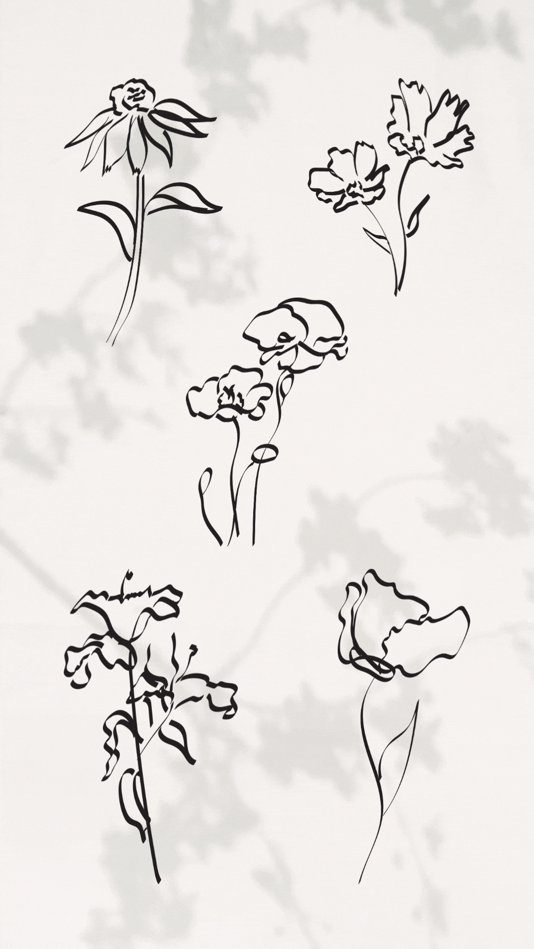 Calligraphy Flowers Illustration Set