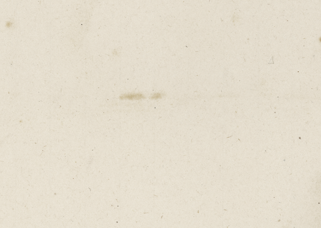 Thank You Kindly Card