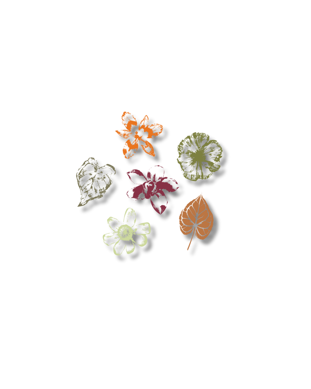 Floral Illustration Stickers