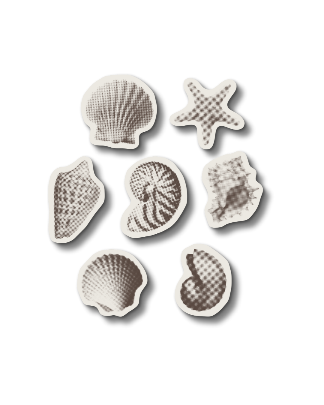 Sea Shell Stickers