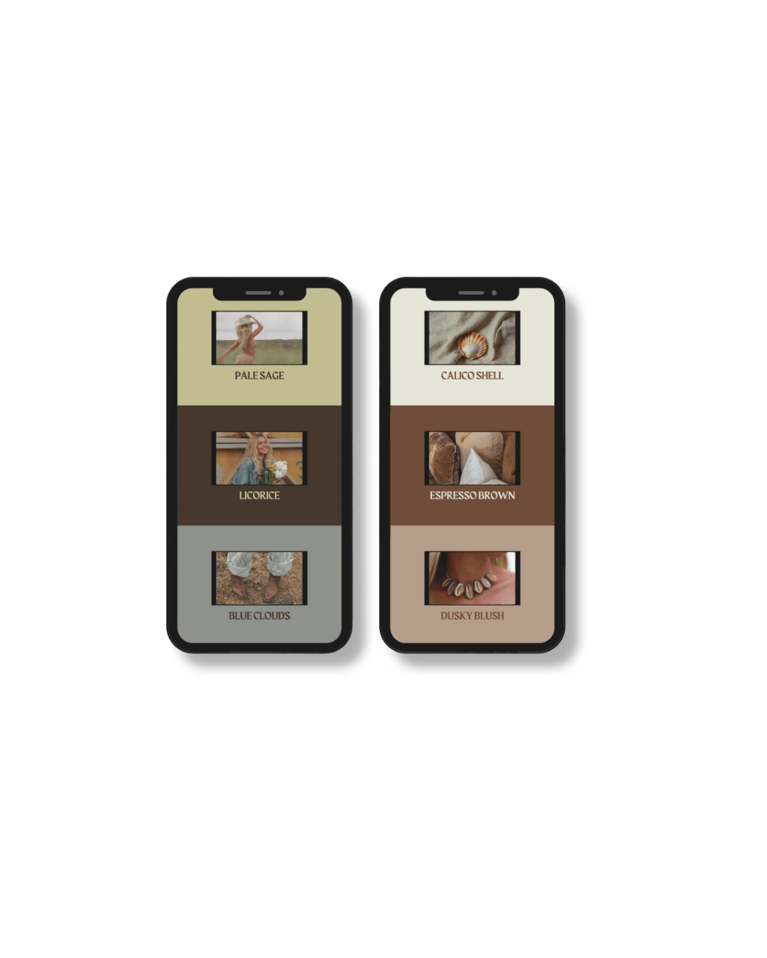 Colour Palette Mood Board Stories