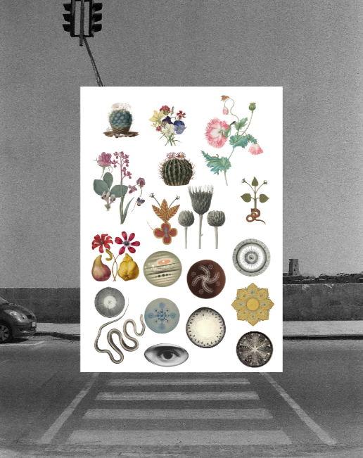 Collage Kit