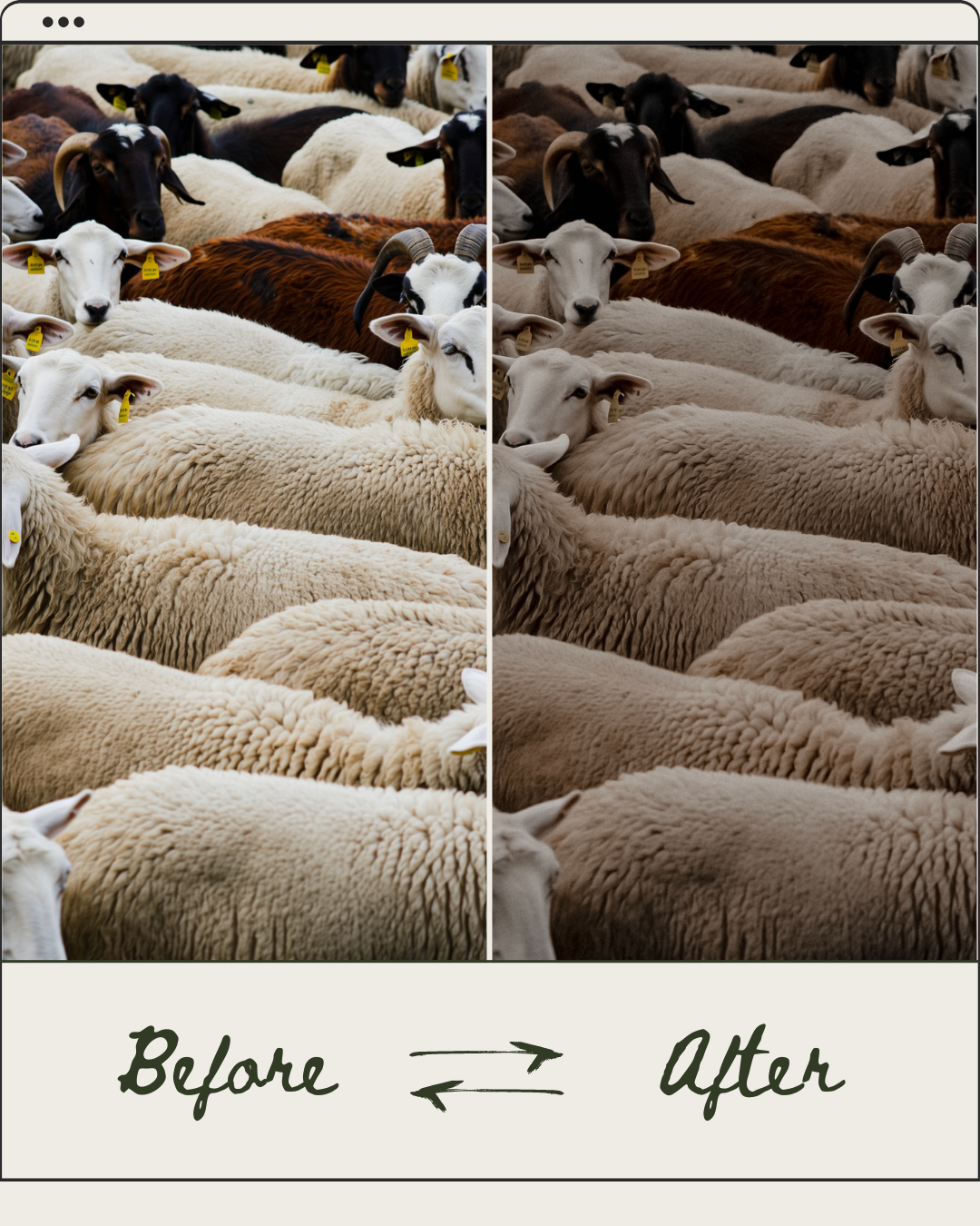 Lightroom Presets (x 12)