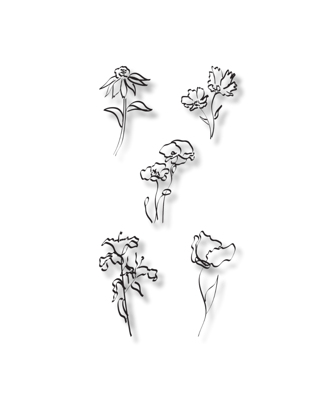 Calligraphy Flowers Illustration Set