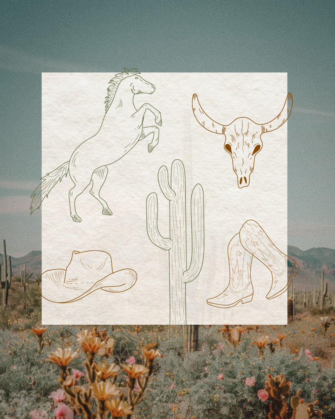 Cowgirl Illustration Set