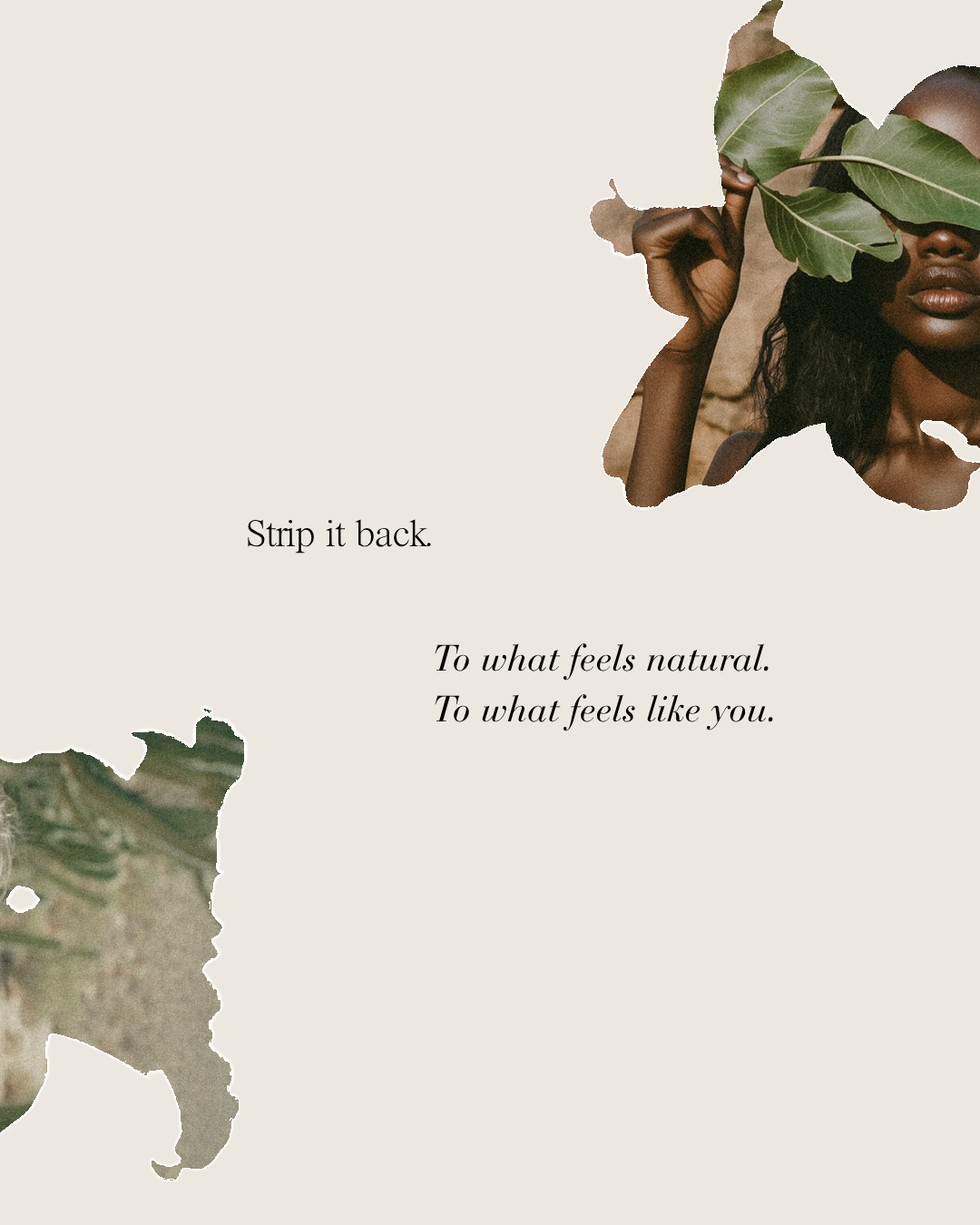 Gentle Season Image Carousel