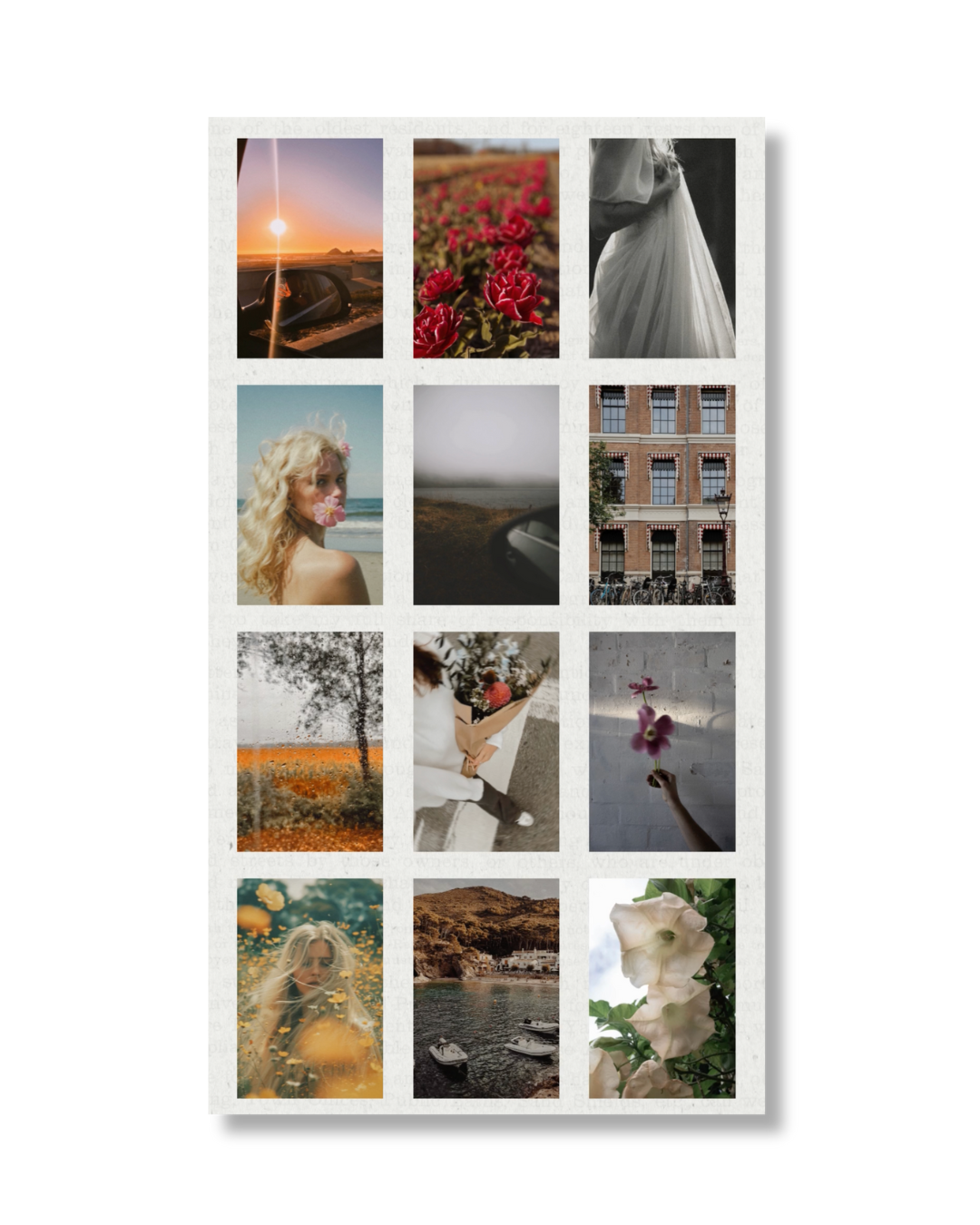 Instagram Reel - Seasons