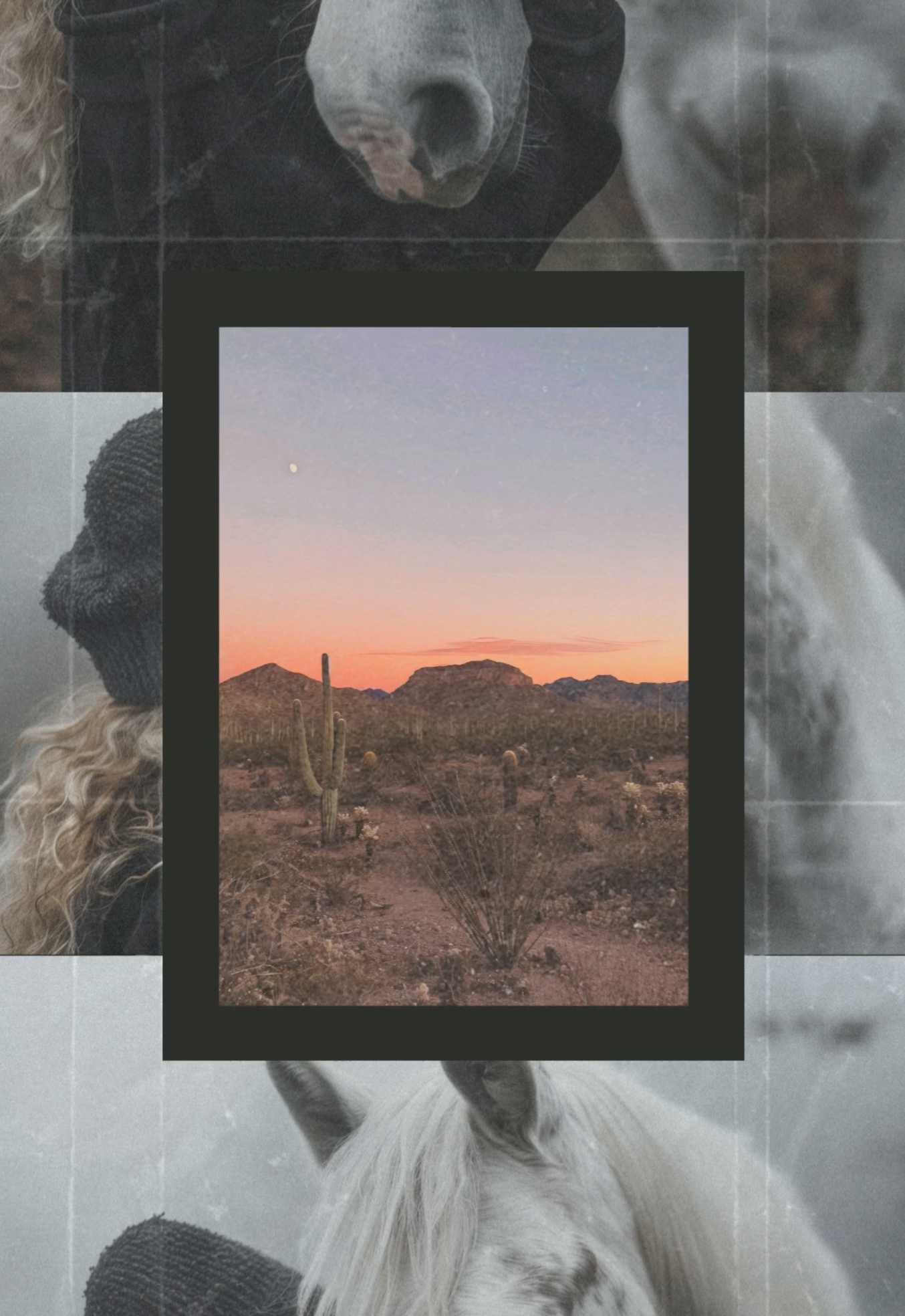 Instagram Reel - Desert