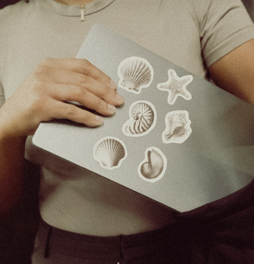 Seashell Sticker Set