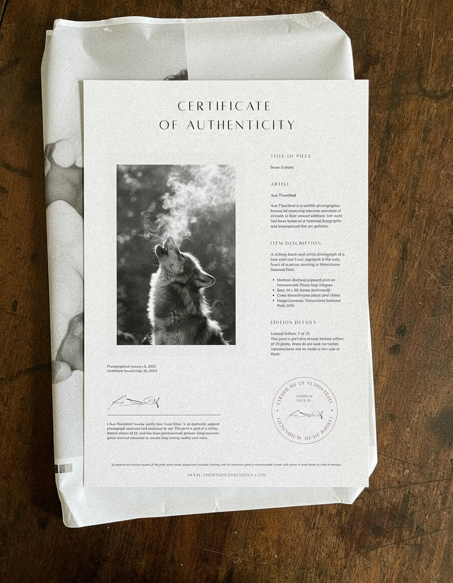 Certificate of Authenticity